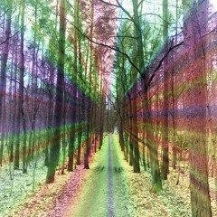 Rich & Maroq - A Walk In The Woulds