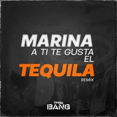 MARINA A TI TE GUSTA EL TEQUILA - DJ BANG (Remix)