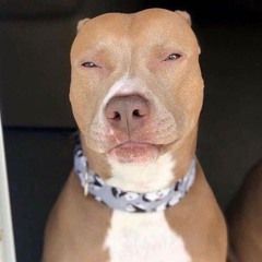 Goony & Lull Jono - Just Fine