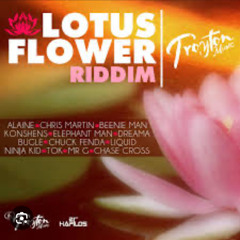 Lotus Flower Riddim Mixed By