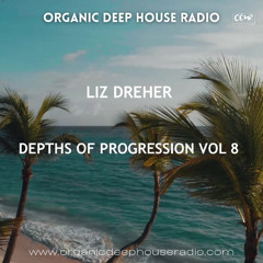 Liz_Dreher_Depths-of-Progression-vol-8