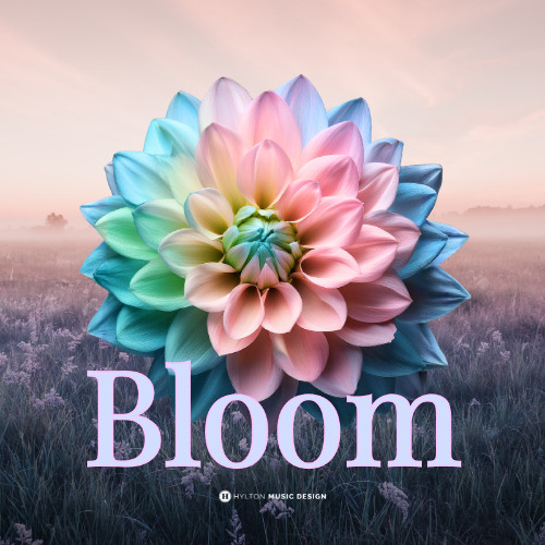 Bloom