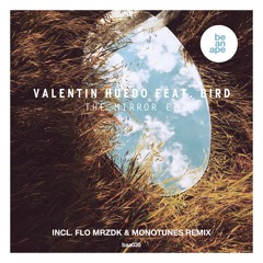 Valentin Huedo feat Bird - The Mirror (be an ape)