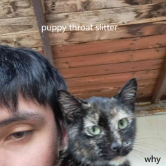 start all over ft 南部犯罪份子 (duatra)