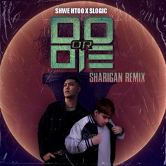 Slogic & Shwehtoo - Do Or Die (Sharigan Remix)