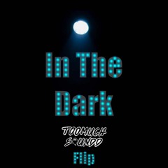 In The Dark (TooMuchSoundd Flip) Free Download