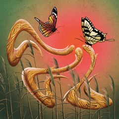 Indefinite Pitch PREMIERES. Zvrra - Butterfly [Qeone]
