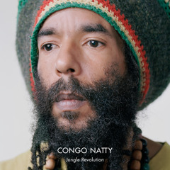 Jah Warriors (Congo Natty Meets Vital Elements Mix)