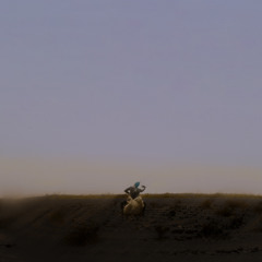 In Contemplation of Maxine Shaw's Scent (Live)