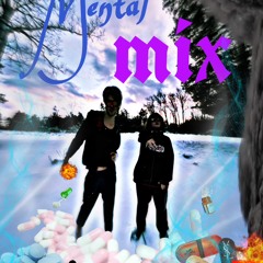 mentalmix(ft. mysterymeat)