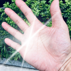 hands okino ver