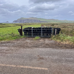 Video Game inspired melody