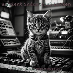 ambient industrial kitten (Beat Battle 78 on discord)