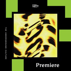 PREMIERE: Futuristant - Money Power (Fabio Vanore Remix) [no one's lost]