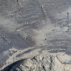 Forgotten Echoes_2024