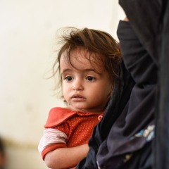 Yemen: International community must build on ‘fragile’ humanitarian progress