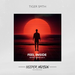 TIGER SMTH - Feel Inside (Abriviatura IV Remix)