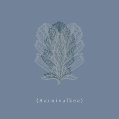 Näiltä lakeuksilta