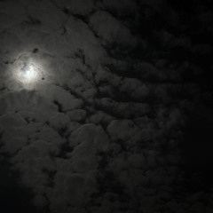 tell me if you’re still up