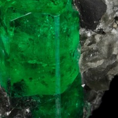 Tribute to Maestra Olivia