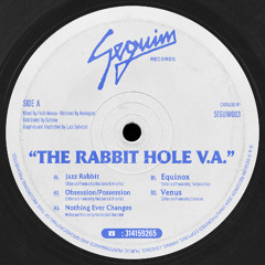 PREMIERE: Alex Garcia & Vince Void - Nothing Ever Changes [Seguim Records]