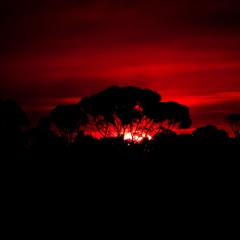 HiTech/Minimal techno @RedRoomMtl [Purrfect Night2/2025]