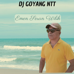 DJ GOYANG NTT