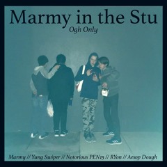 Marmy In The Stu