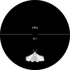 zky - 01B