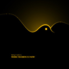 Where the Birds Fly Now? by Senji Niban