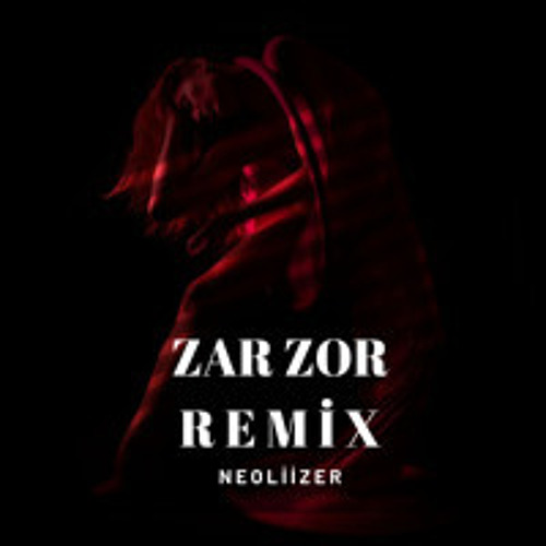 Ayaz Erdoğan - Zar Zor (Remix)