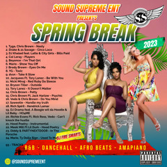 ☀️ Spring Break Mix 23 🌴| New Skool R&B Hip Hop | Afro Beats & Dancehall By DJ Fire Smarts (March 23)