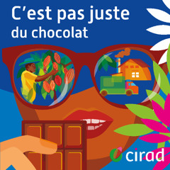 [SAISON 6] C'est pas juste du chocolat