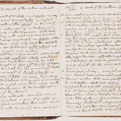 In Defence Of Toads (2016)