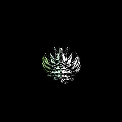 live Tracks