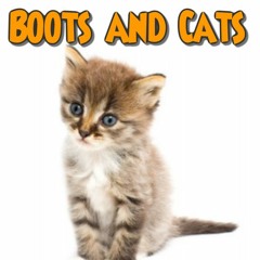 Boots And Cats Remix