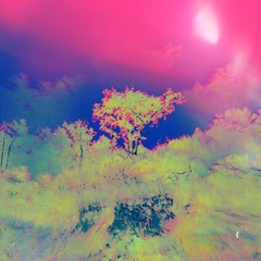 Eineminutevierundzwanzig