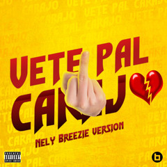 Nely Breezie - Vete Pal Carajo (Cover)