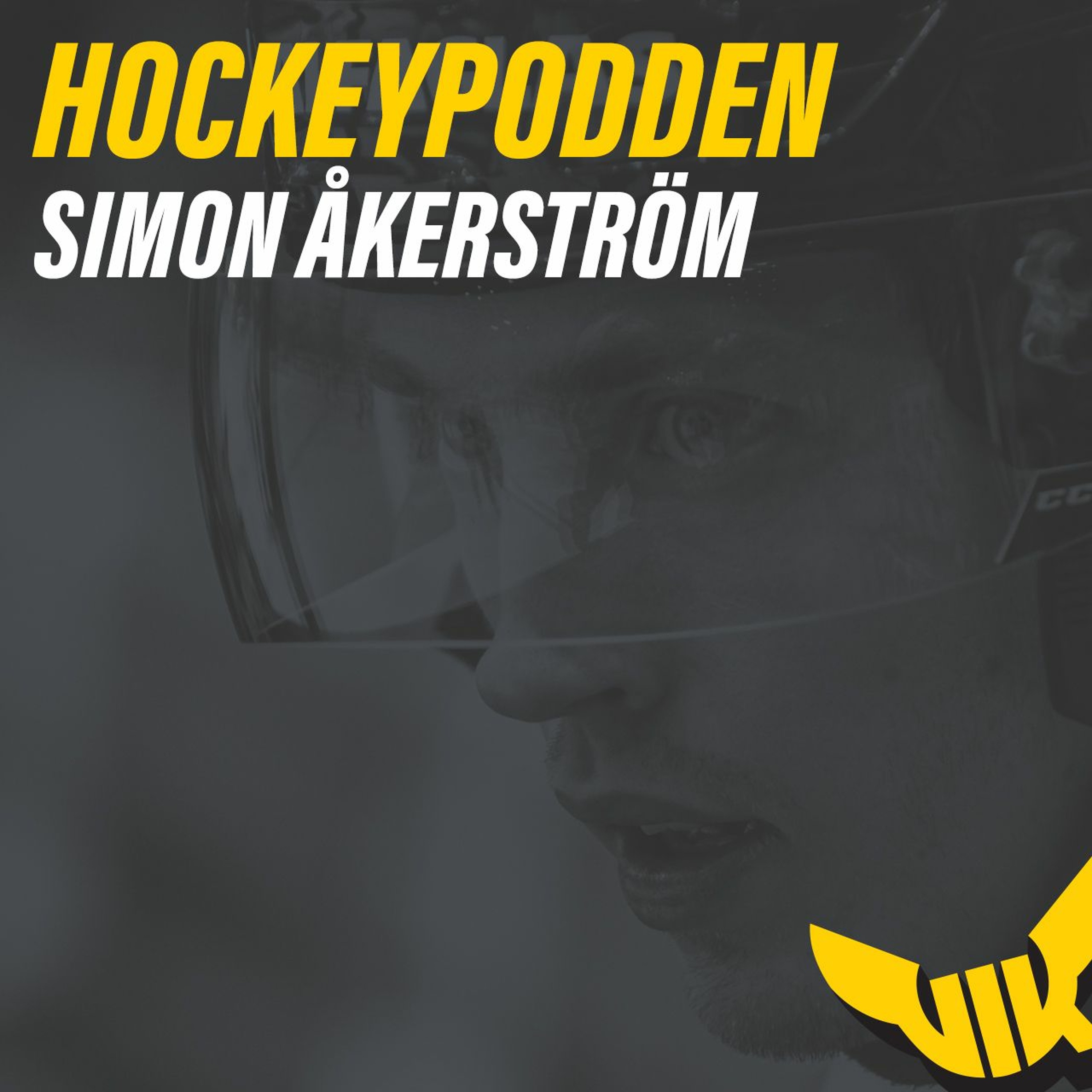 Hockeypodden på VIK.se