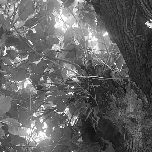 enjoyment in ol’ sonic fashion