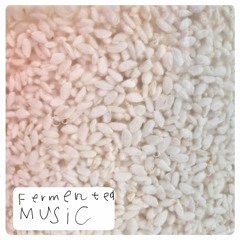 Fermented Music Sample