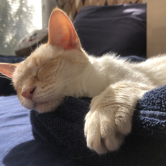 2020.12.21 Like A Little Lullaby