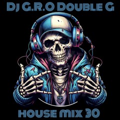 House Mix 30