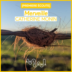 Lecture - « Merveille » de Catherine Monin