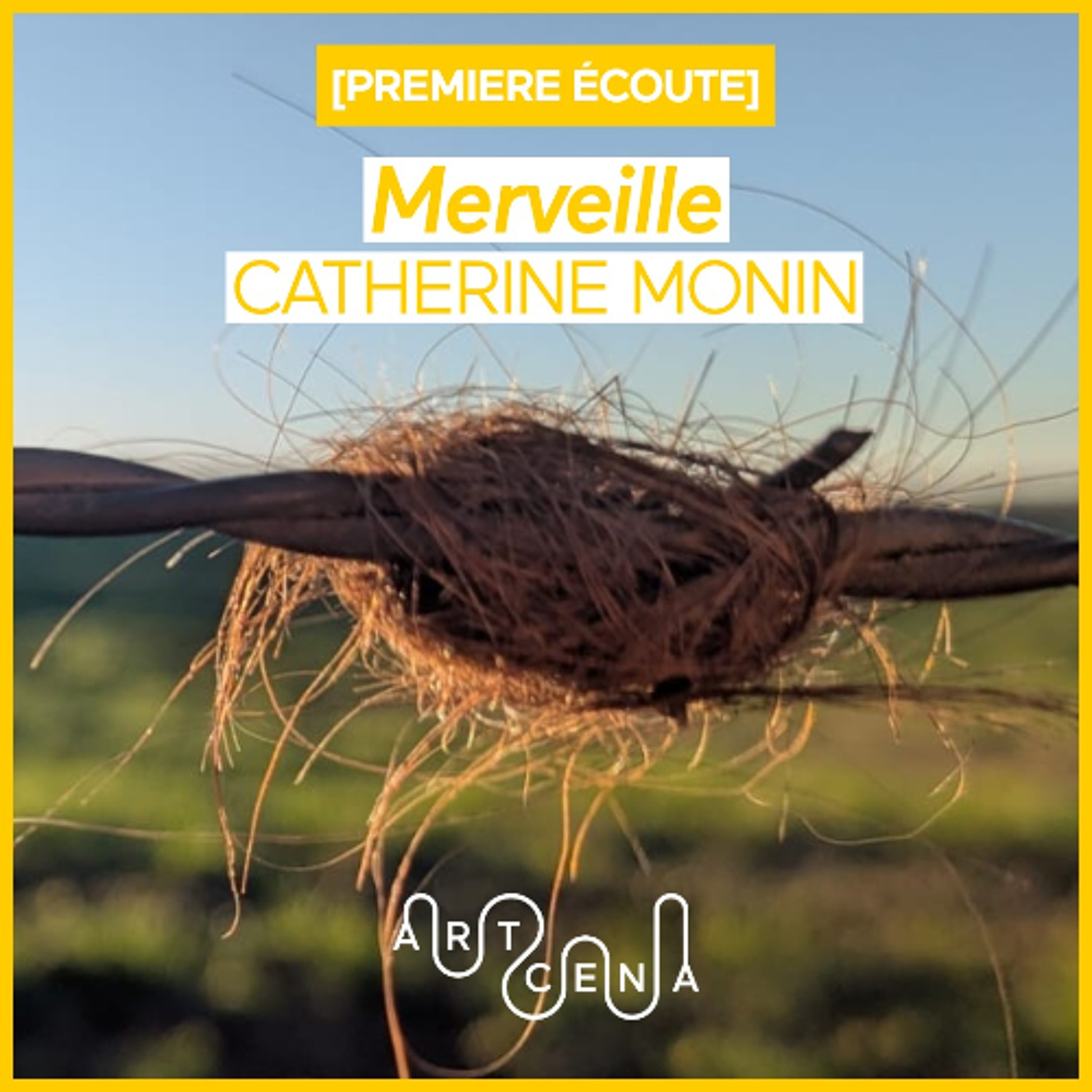 Lecture - « Merveille » de Catherine Monin