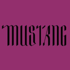 MiniMIX 9 New Year Eve - PROMO - MUSTANG Party @ à la Folie Paris - 31.12.2020