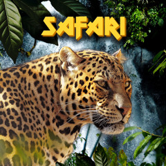 Safari (feat. Lil Coat)