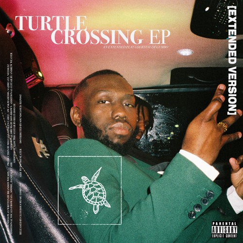 Turtle Crossing (Feat. Danielle Carr & Simmie)