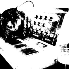 the lights (februxry)