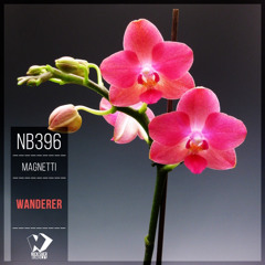 Magnetti - Wanderer (Original Mix)